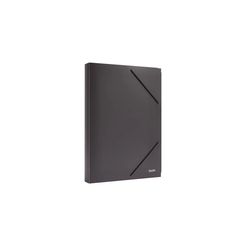 Bantex Foldable File Box BF5103 / Carry File / Map Plastik