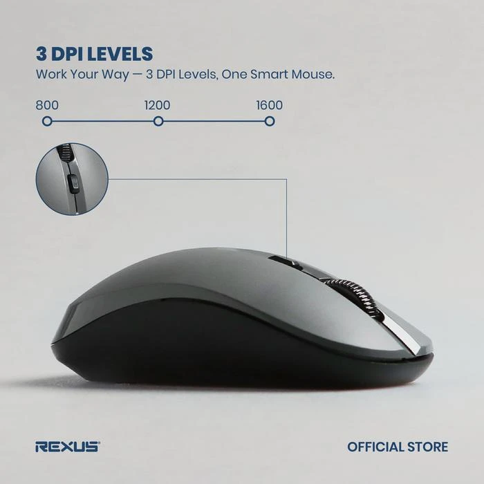 Mouse Wireless Silent Rexus Q20