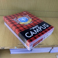 PAK = 10 PCS