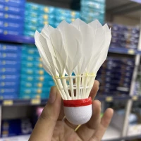 Satuan