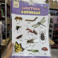 Binatang Serangga